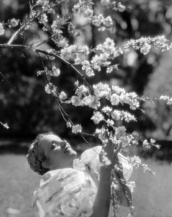 Marlene Dietrich