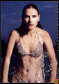 Virginie Ledoyen Bikini PIcture