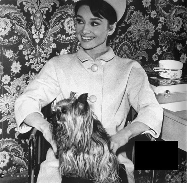 Audrey Hepburn