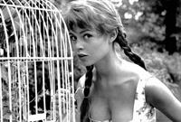 Brigitte Bardot