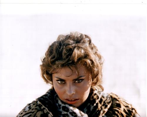 Sophia Loren