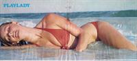 Nina Carter Bikini Pictures Nina Carter in a bikini