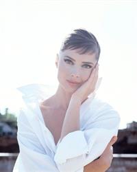 Isabella Rossellini Pictures Isabella Rossellini