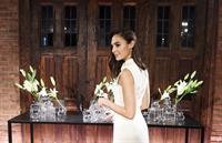 Gal Gadot