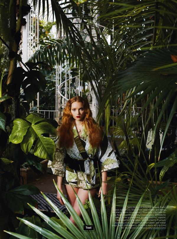 Lily Cole