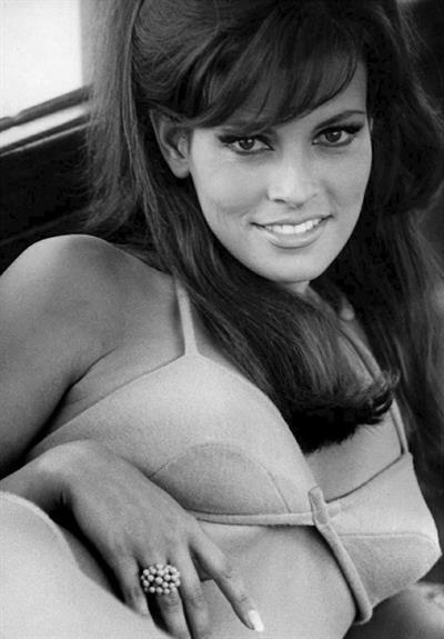 Raquel Welch in lingerie