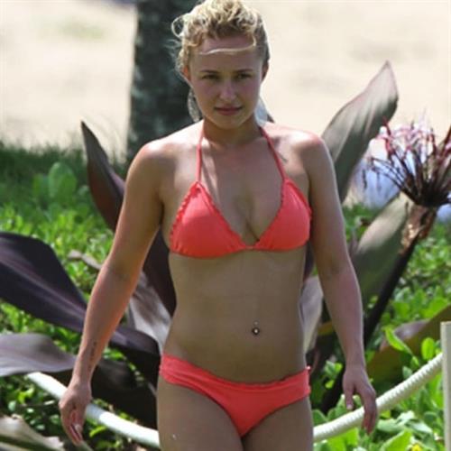 Hayden Panettiere in a bikini