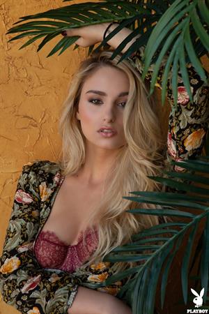 Leggy Lindsay Strips