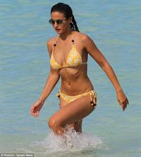 Emmanuelle Chriqui in a bikini