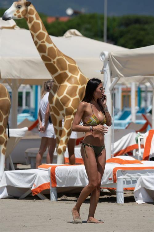 Elisabetta Gregoraci sexy ass and cleavage in a bikini at the beach seen by paparazzi.











