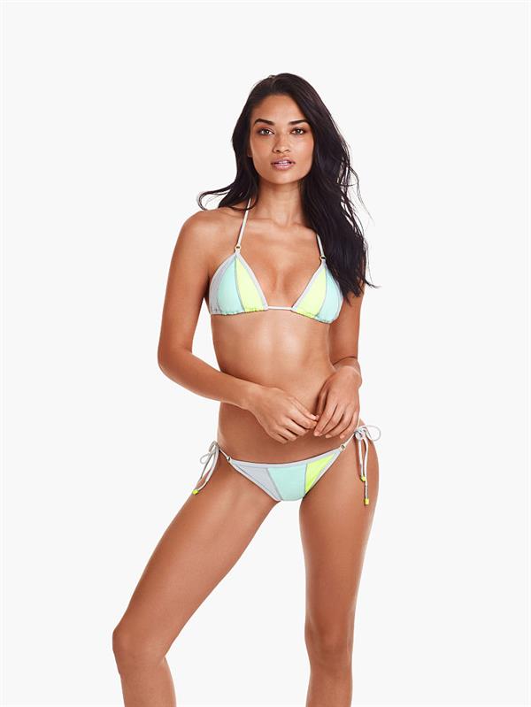 Shanina Shaik in a bikini