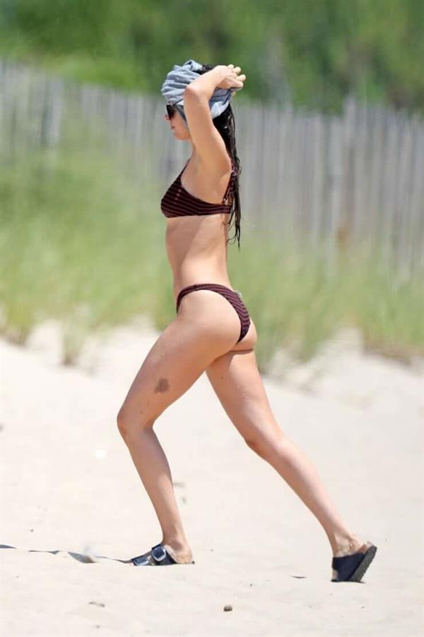 Dakota Johnson in a bikini