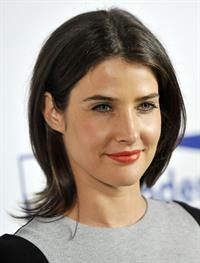 Cobie Smulders