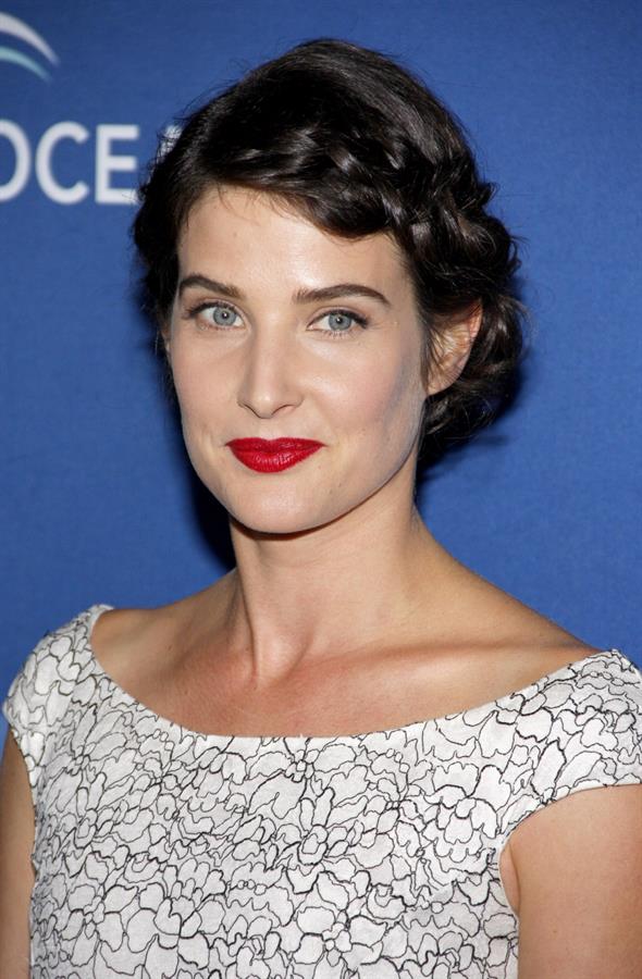 Cobie Smulders