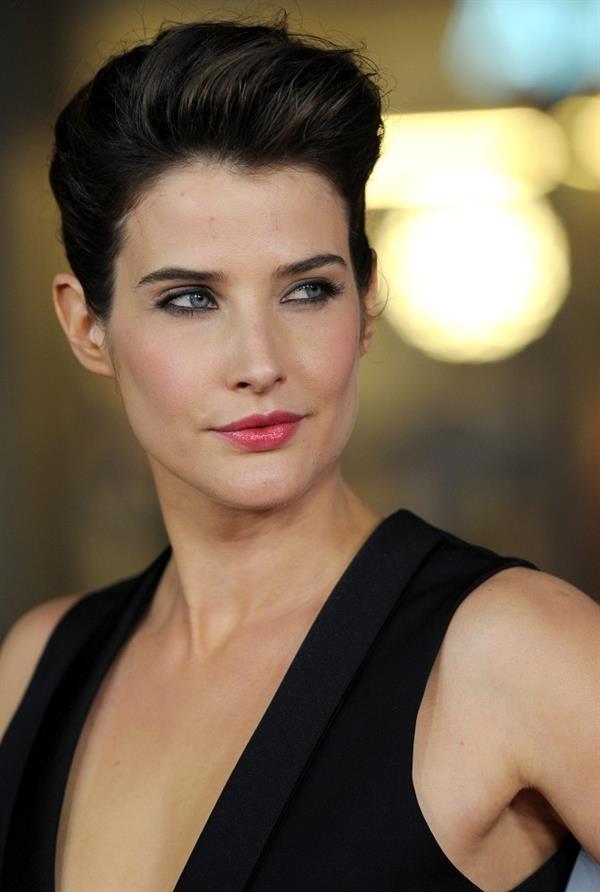 Cobie Smulders