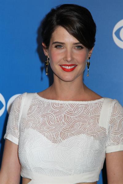 Cobie Smulders