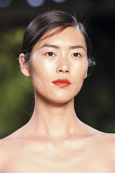 Liu Wen