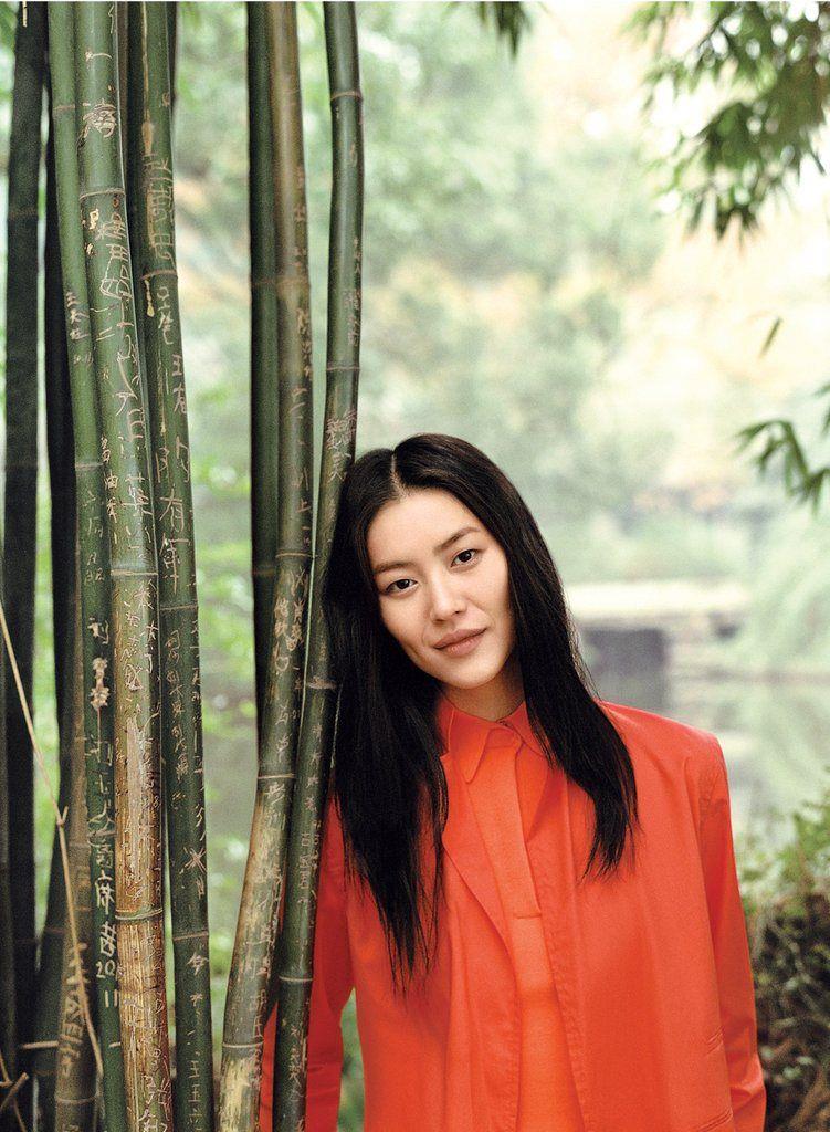 Liu Wen