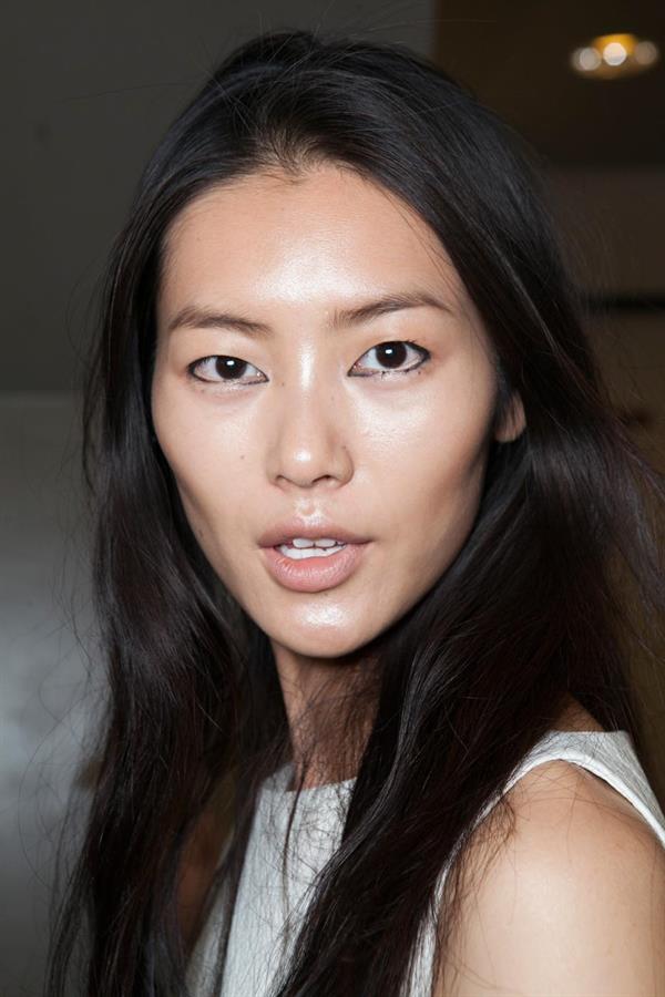 Liu Wen