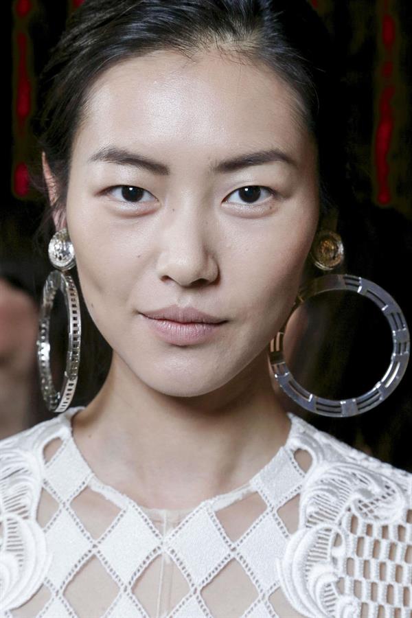 Liu Wen