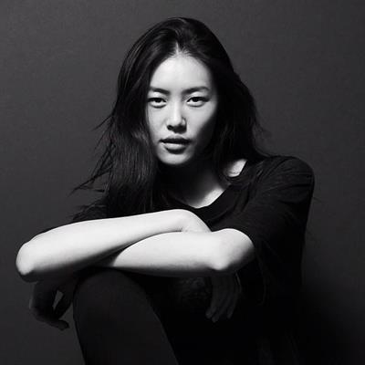 Liu Wen