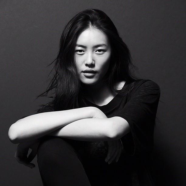 Liu Wen