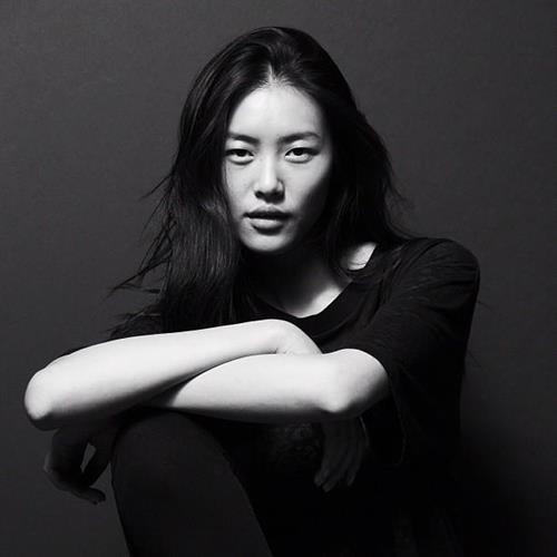 Liu Wen