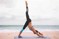 Amanda Bisk in a bikini