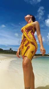 Halsey braless boobs in a see through minidress showing off her big tits at the beach.