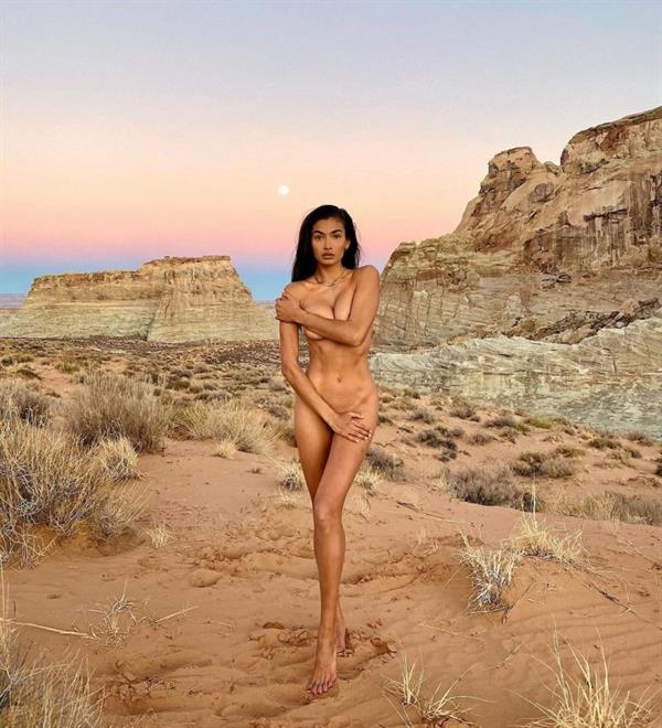 Kelly Gale nude new photo taken out in the desert barely covering her topless boobs and naked pussy with her arms.