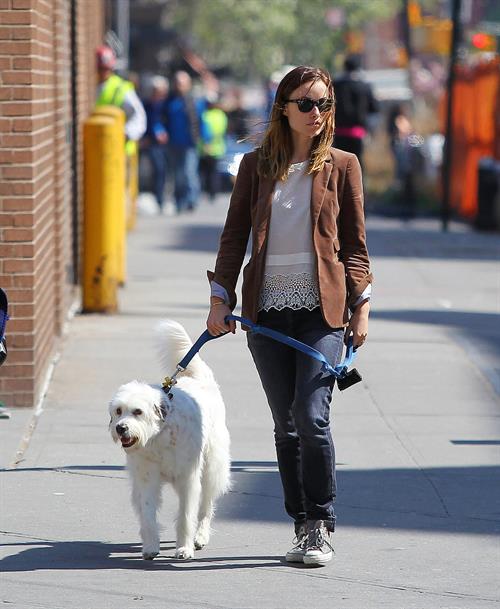 Olivia Wilde walking her dog in New York City - April 24, 2013 
