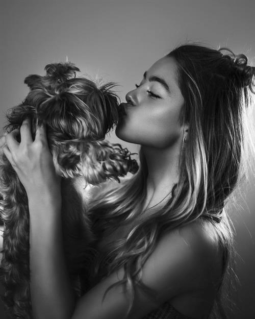 Polish-American Model