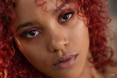 Elektra: New Talent Elektra