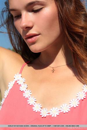 Harley Nude Pictures Daydream