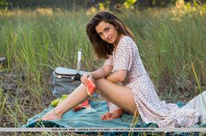 Susie Nude Pictures Picnic Fun