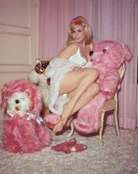 Jayne Mansfield