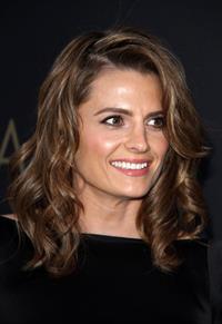 Stana Katic