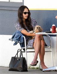 Jordana Brewster