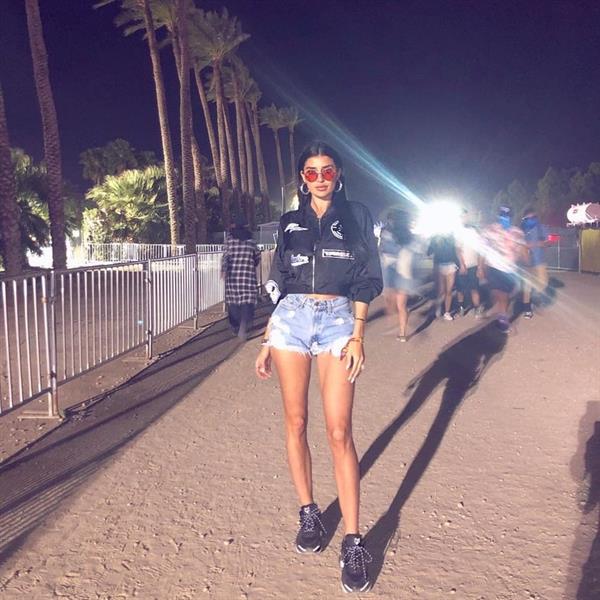 Nicole Williams English