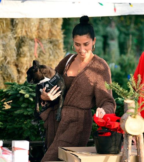 Nicole Williams English