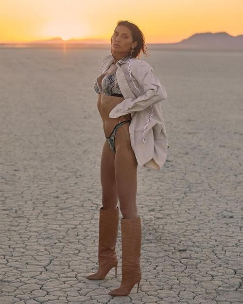 Nicole Williams English