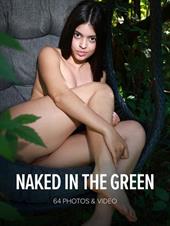 Gia Rosse: Naked In The Green