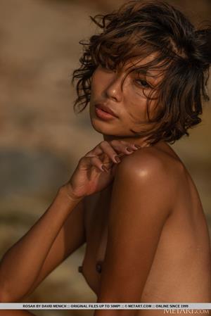 Rosah Nude Pictures Tropical