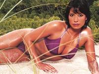 Melanie Sykes in a bikini