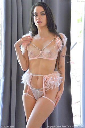 Angelina FTV Nude Pictures Seethrough Pink