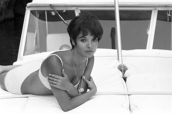 Elsa Martinelli in a bikini