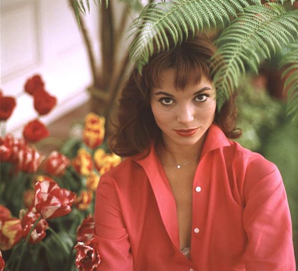 Elsa Martinelli