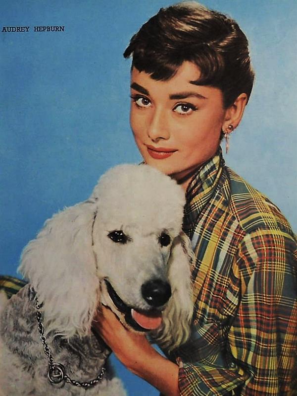 Audrey Hepburn