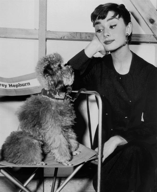 Audrey Hepburn