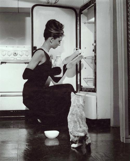 Audrey Hepburn